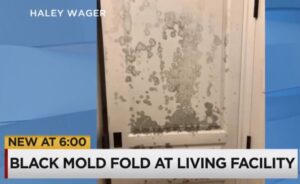 Black Mold Death at Assisted Living Facility in Port Charlotte