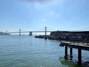Reporting Elder Abuse in the San Francisco Bay Area